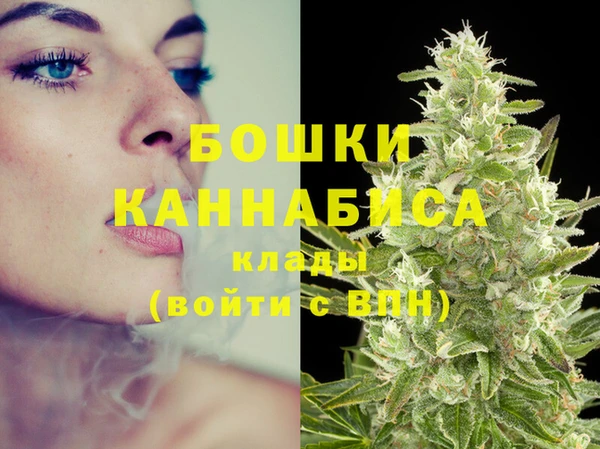 стаф Балахна