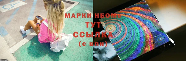 стаф Балахна